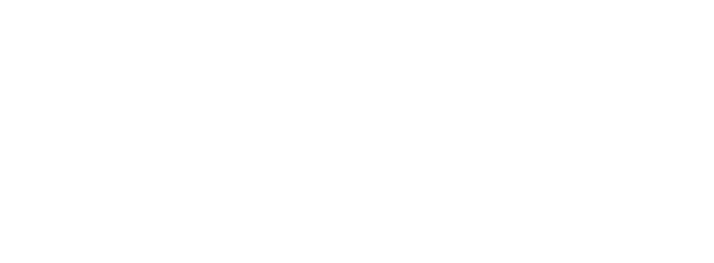 TotalCare HMO D-SNP Logo
